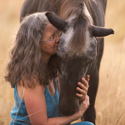Tierkommunikation Basis-Seminar