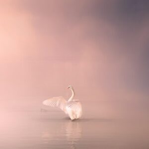 Zweifel, Intuition & Geistige Helfer