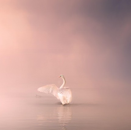 Zweifel, Intuition & Geistige Helfer